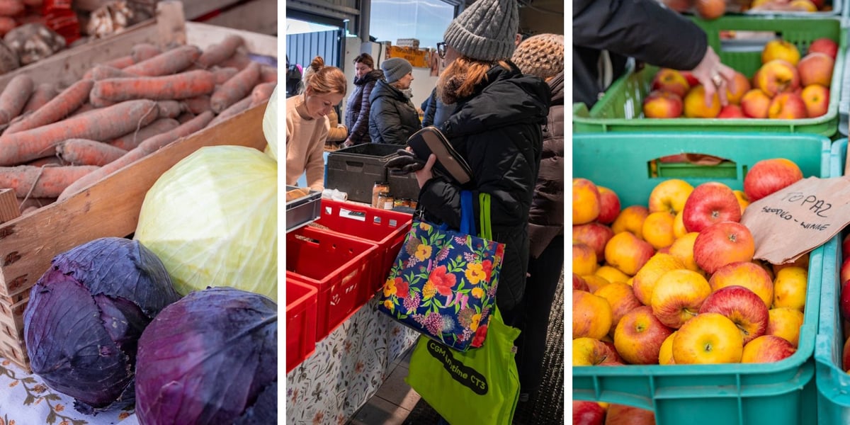 Trzy zdjęcia, od lewej marchewka i kapusty do kupienia, w środku klienci robiący zakupy na Dolnośląskim targu Rolnym, z prawej jabłka w skrzyniach