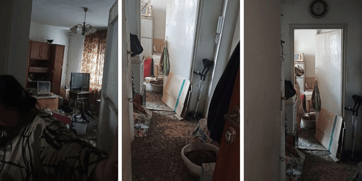 Na wszystkich trzech zdjęciach jest mieszkanie - podłogi i meble pokryte ptasimi odchodami, gołębie