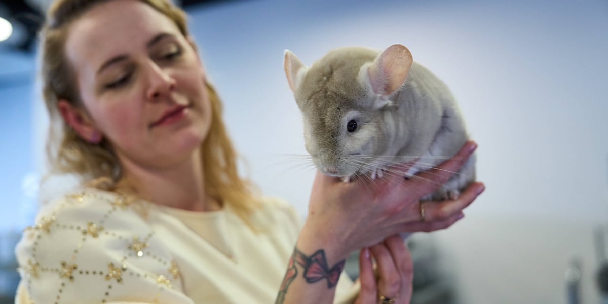 Dolnośląskie Targi Zoologiczne na Tarczyński Arena Wrocław. Na zdjęciu kobieta trzyma kudłate zwierzę