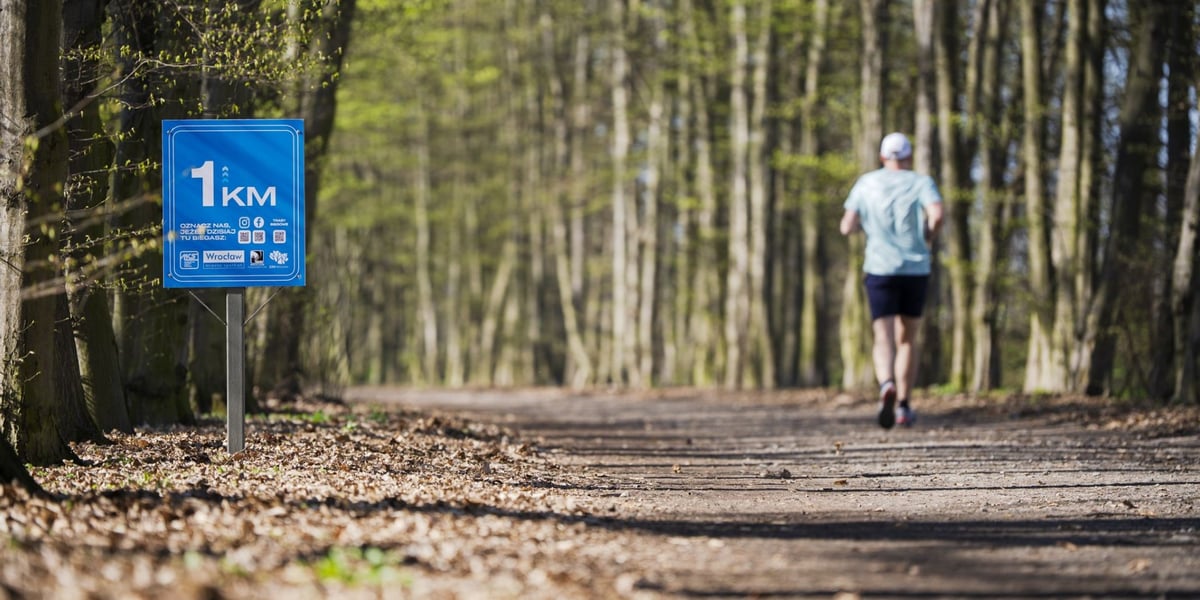 Trasa biegowa wzdłuż Kanału Żeglugowego i Powodziowego między Mostami Chrobrego a Jagiellońskimi 