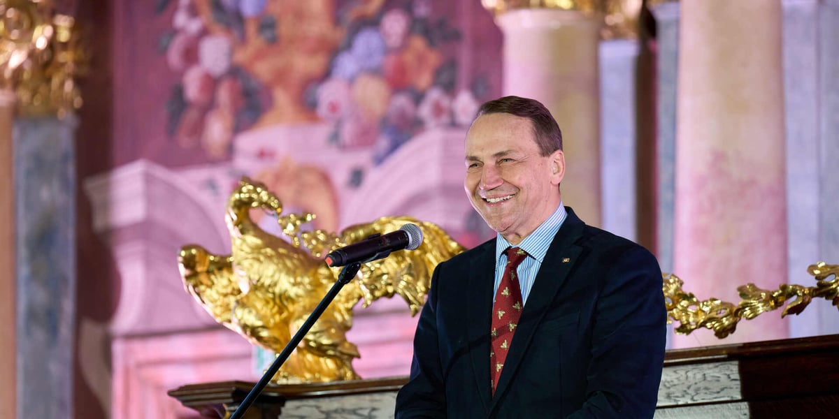 Radosław Sikorski, wicepremier i minister spraw zagranicznych w Auli Leopoldina.