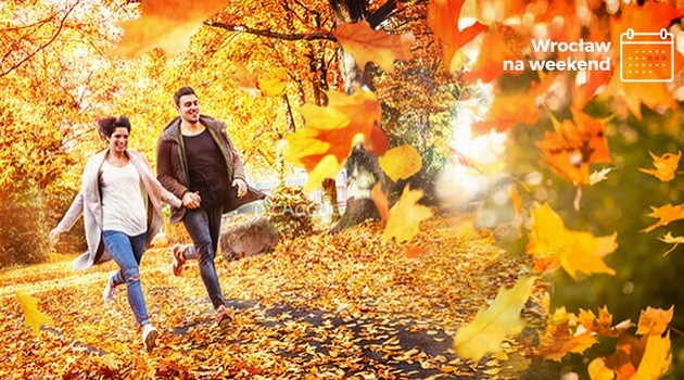 Wrocław for weekend: 11-13 November [EVENTS]