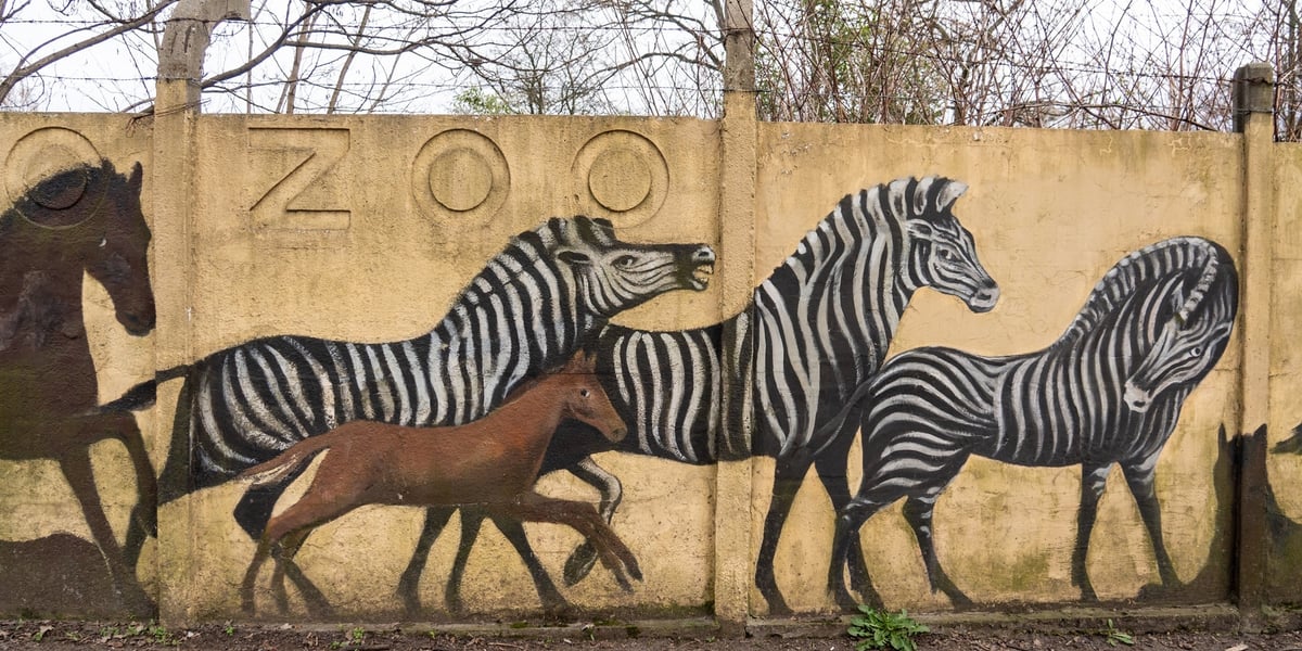 Fragment muralu Jerzego Wołoszynowicza na ogrodzeniu zoo m.in. z zebrami