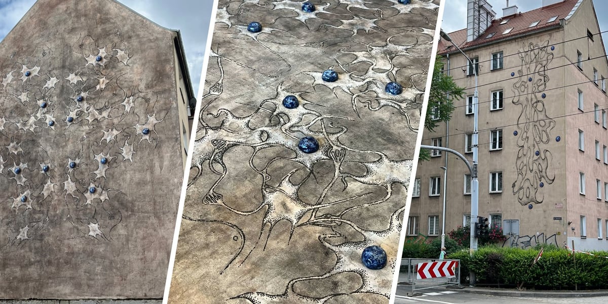 Projekt Neuroornamentu Anity Sieradzkiej (dwie wizualizacje i zdjęcie z wystawy)