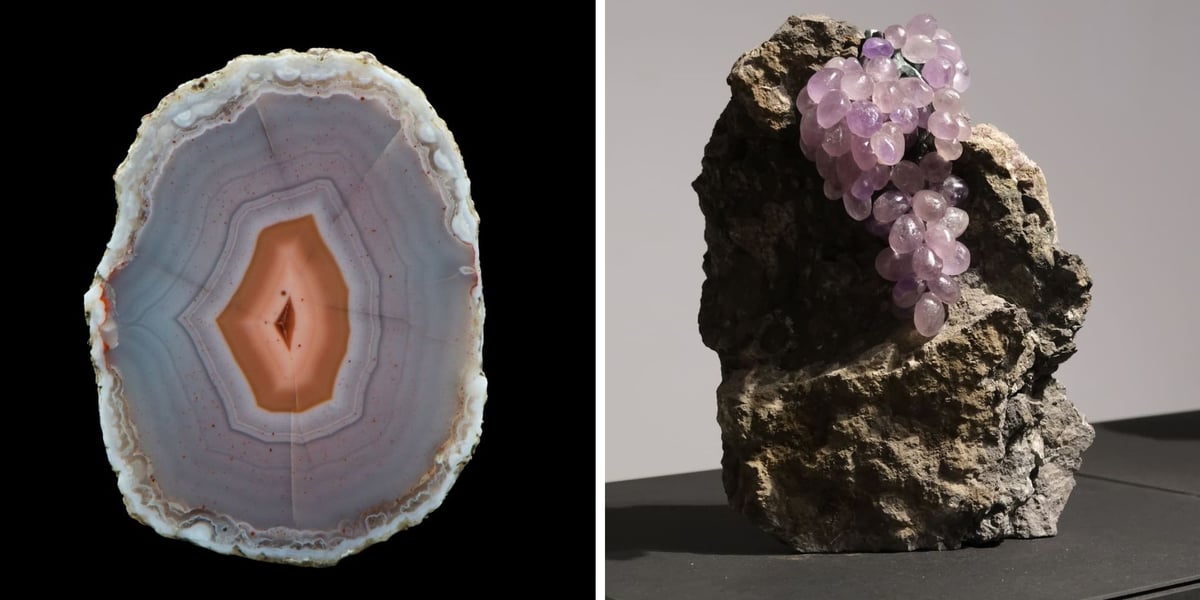 Owoce “Ziem Rzadkich” cykl makrofotografii; druk cyfrowy. Kolaż dwóch zdjęć.