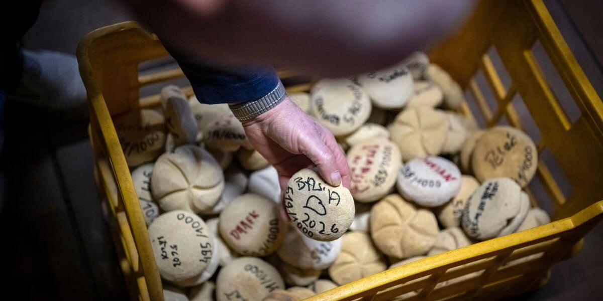 skrzynka kamiennych bułek z podpisami