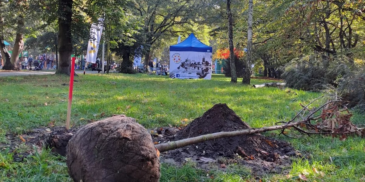 Odcinek 208 - sadzimy drzewa na Wrośnij we WRO