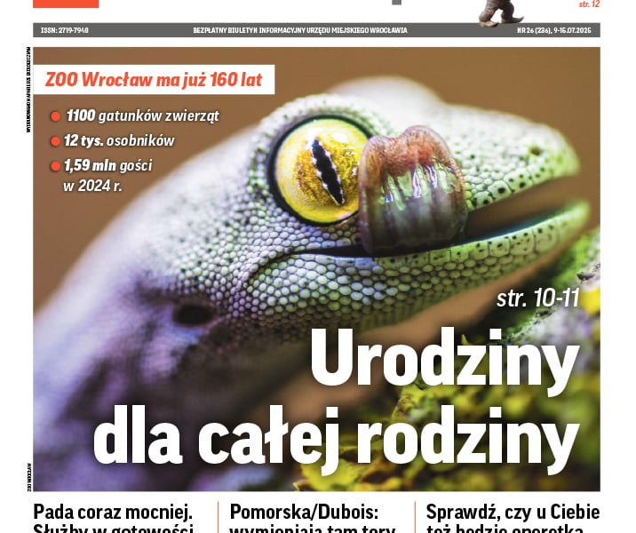 Zielonkawo-fioletowy gekon z żółtym okiem z wyciągniętym językiem w kolorach różowym i zielonkawym