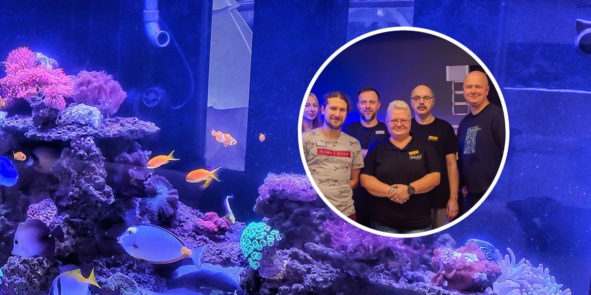 Akwarium morskie, kawałek rafy koralowej, ryby. W kółku kobiety i mężczyźni, pracownicy Trzmiela we Wrocławiu