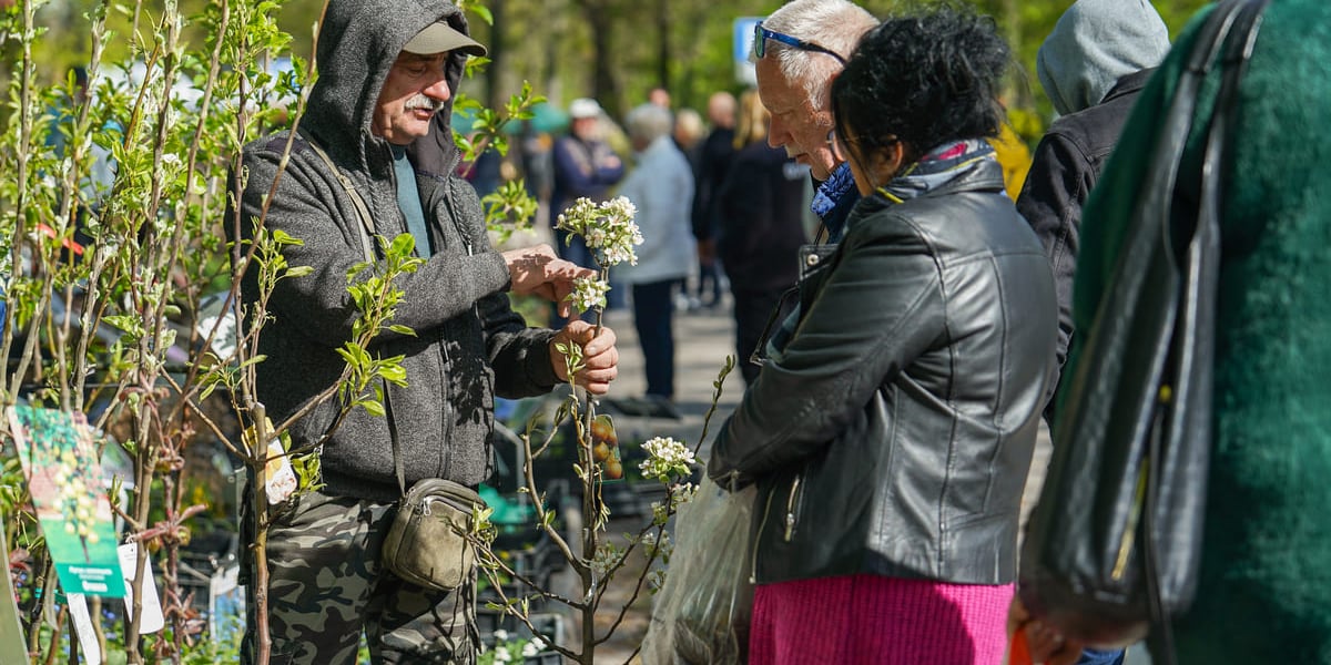Kiermasz ogrodniczy "Pamiętajcie o ogrodach" na Partynicach, Wrocław 26.04.2026.