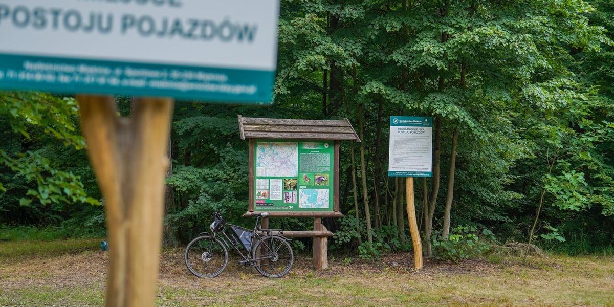 Las Mokrzański to największy las w granicach administracyjnych Wrocławia. Zajmuje powierzchnię ponad 550 hektarów