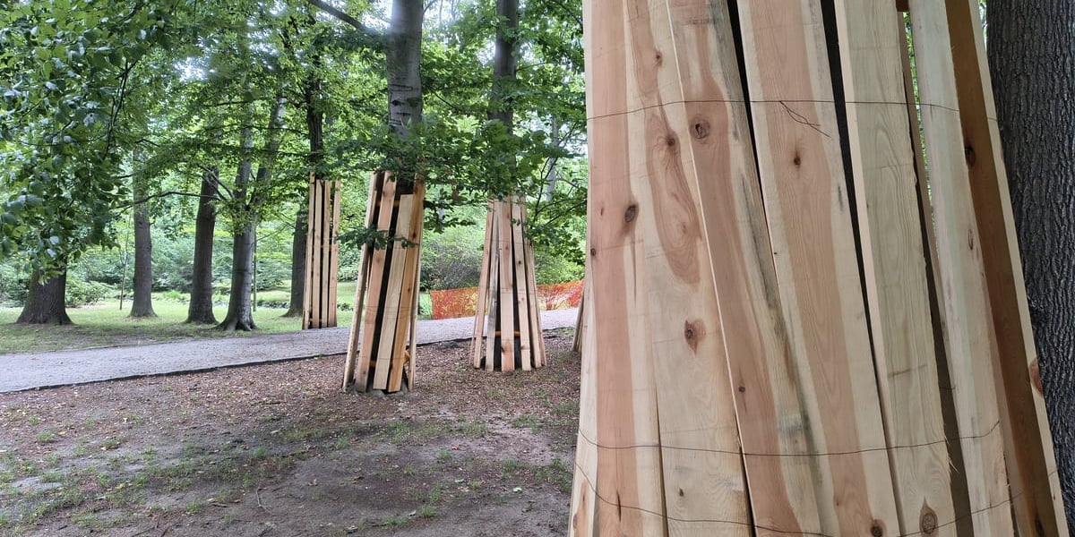 Park Szczytnicki - zabezpieczenie zieleni przed pracami remontowymi, lipiec 2026