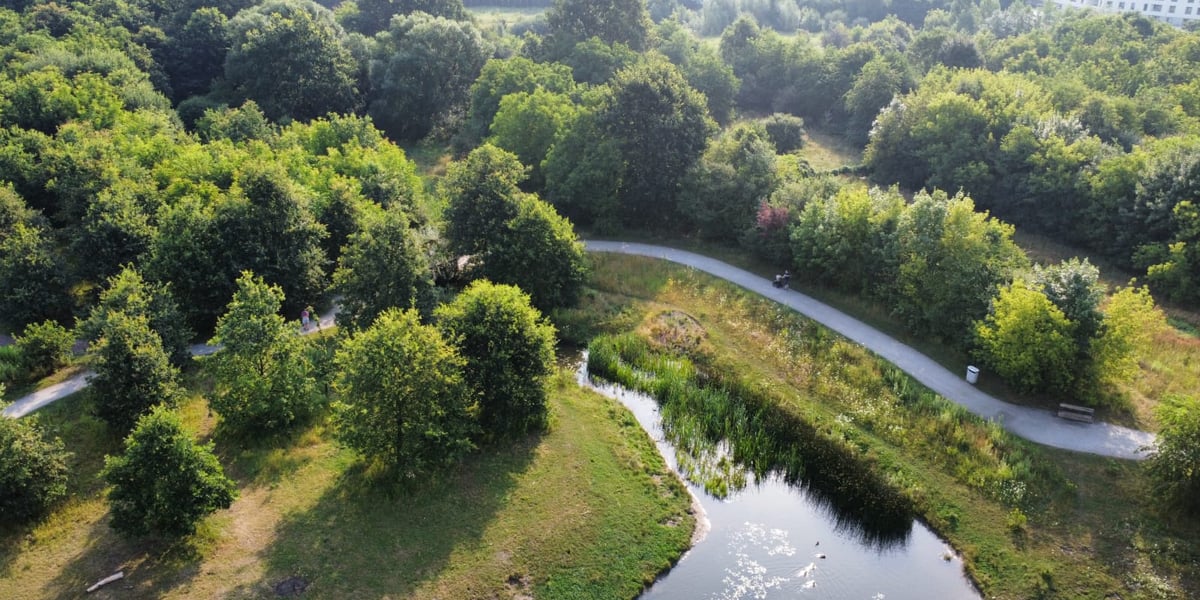 Park Krzycki  we Wrocławiu z lotu ptaka