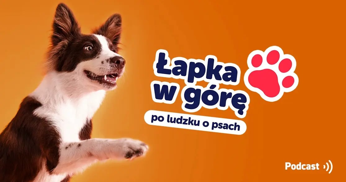 Grafika przedstawia psa z wystawioną łapką na pomarańczowym tle. Obok jest duży napis "Łapka w górę", poniżej podtytuł "po ludzku o psach". 