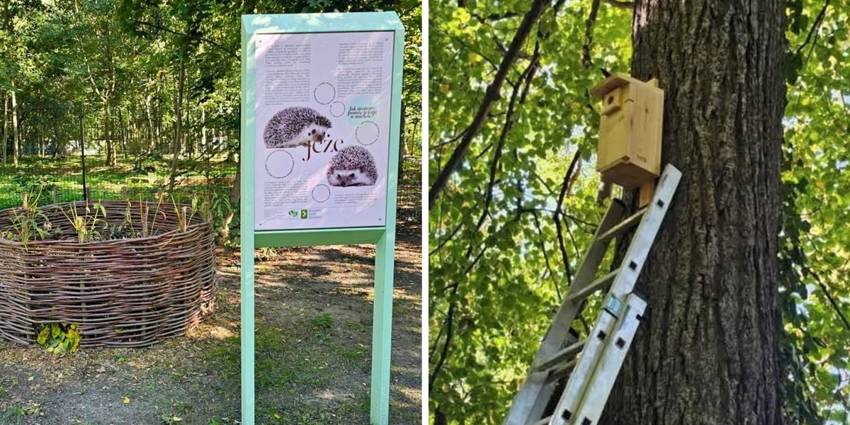 Park edukacji ekologicznej