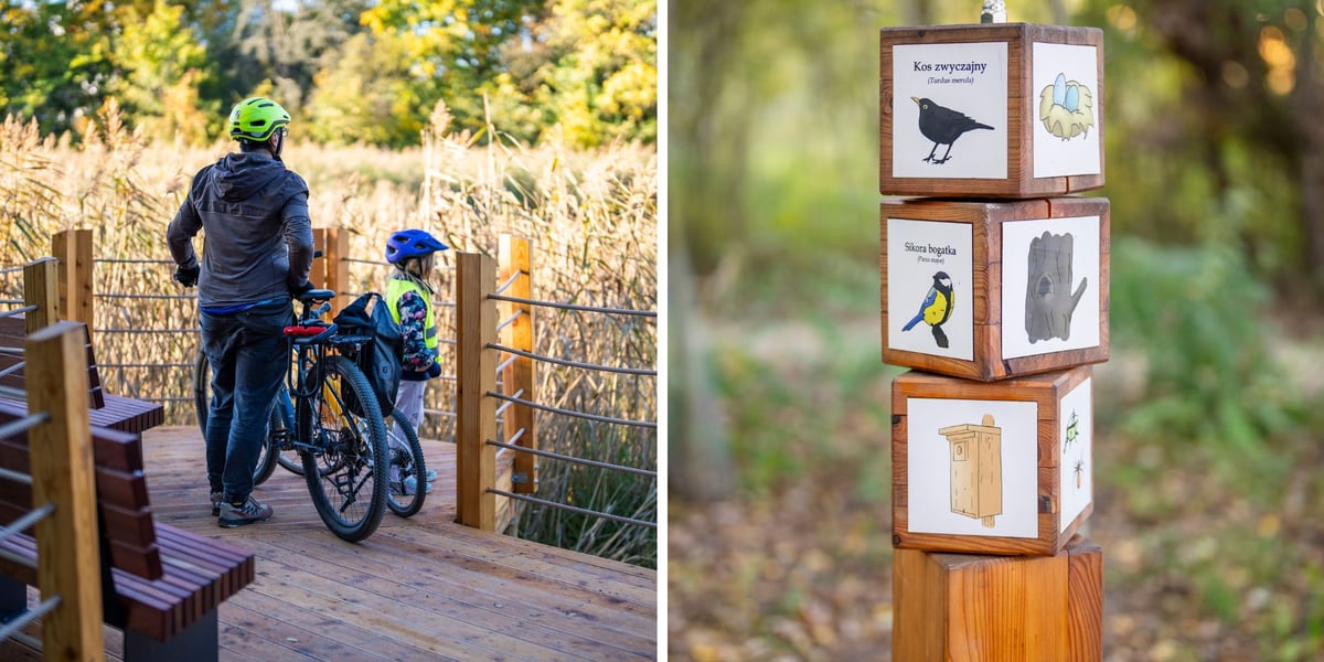 dwa zdjęcia: dwoje rowerzystów obserwuje przyrodę z pomostu; tabliczki informacyjne o występujących gatunkach zwierząt (na grafikach: kos zwyczajny, sikorka bogatka)