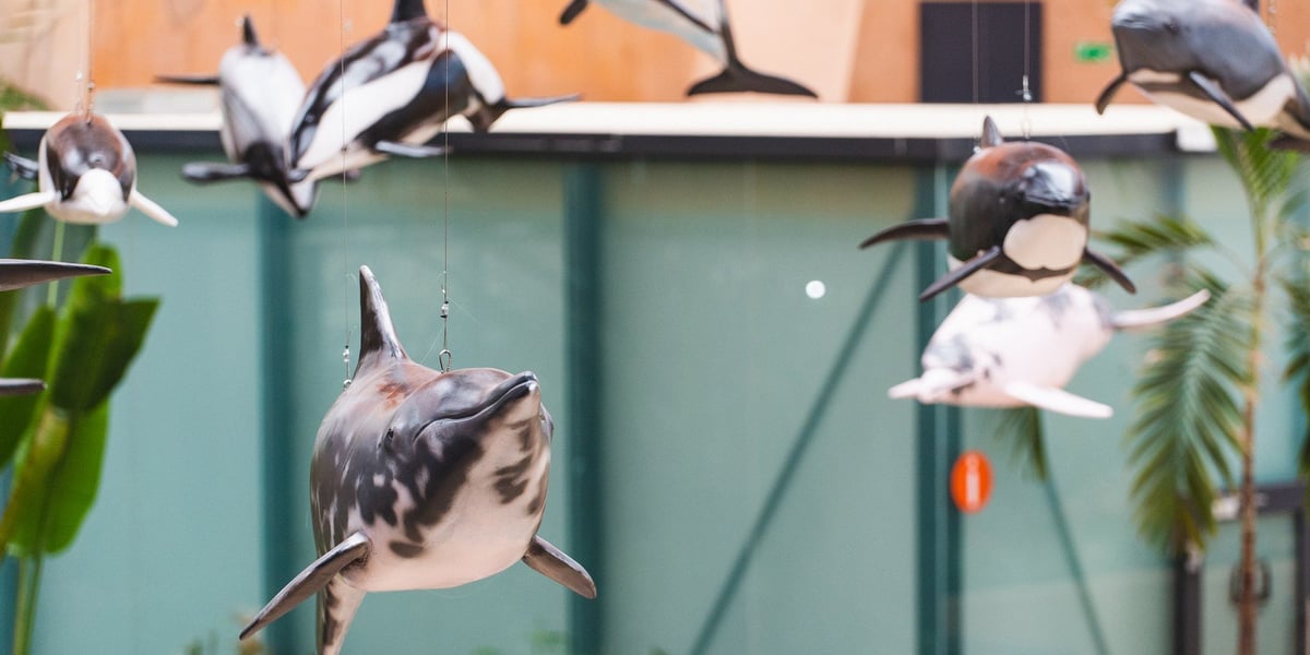 Wystawa "Czy różowe delfiny istnieją" w Afrykarium w Zoo Wrocław