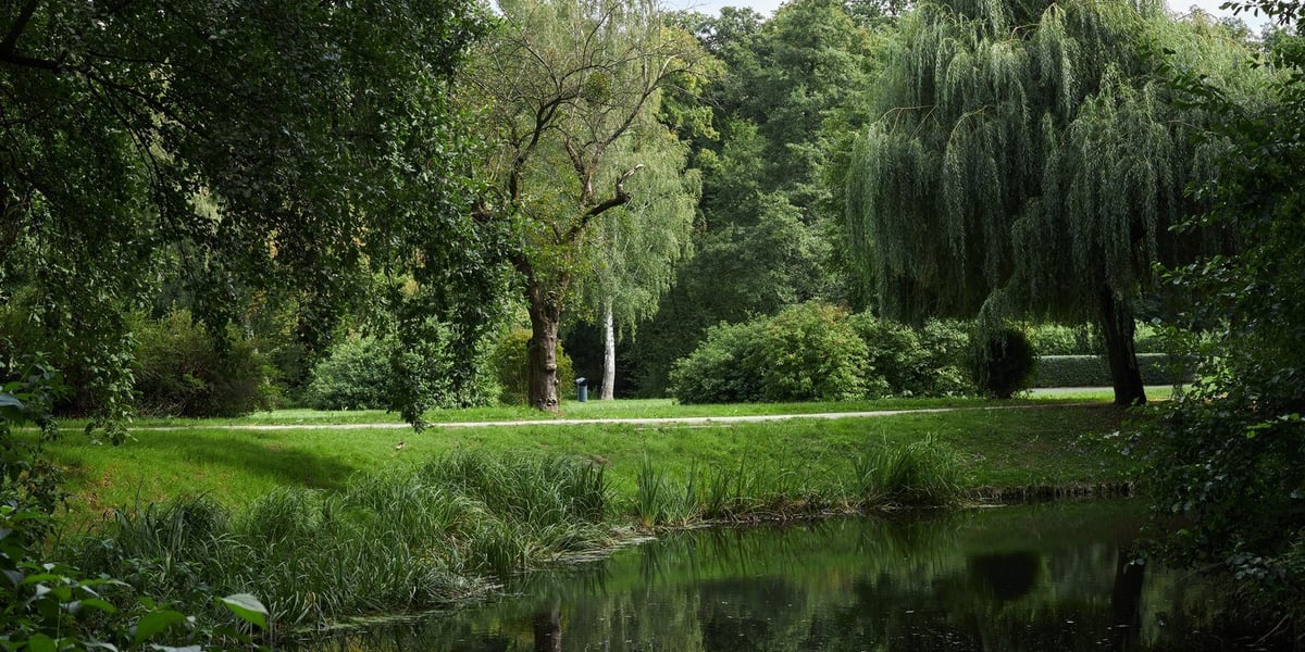 Park Złotnicki we Wrocławiu
