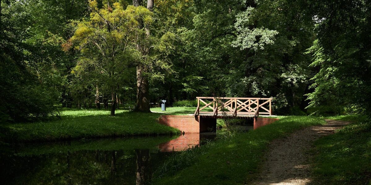 Park Strachowicki to oaza spokoju w zachodniej części miasta. Na zdjęciu jeden ze stawów w parku