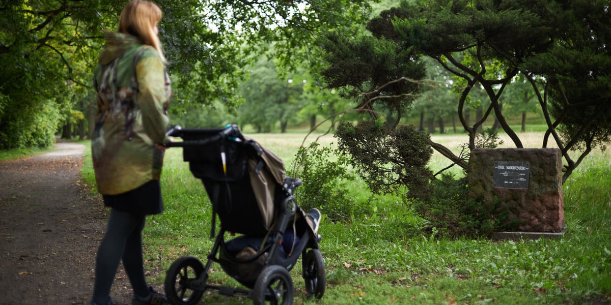Przy wejściu od strony ul. W. Wojtkiewicza zobaczycie kamień upamiętniający prace społeczne z lat 70. ubiegłego wieku w parku