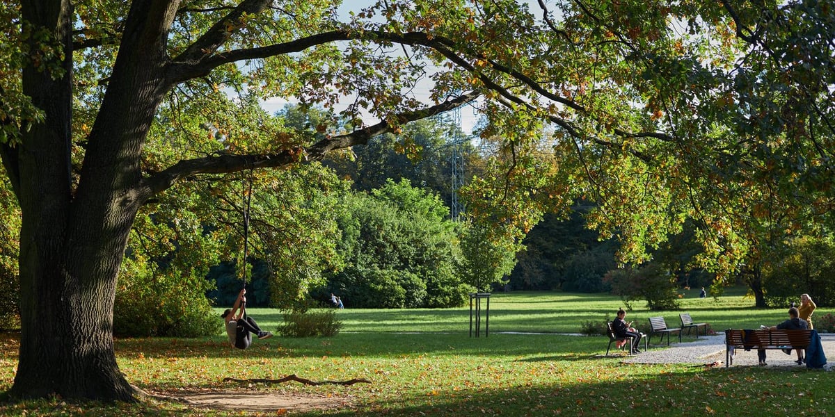 na zdjęciu park Popowicki we Wrocławiu, na polanie na ławce osoba czytając książę, druga osoba buja się na linie zwisającej z drzewa
