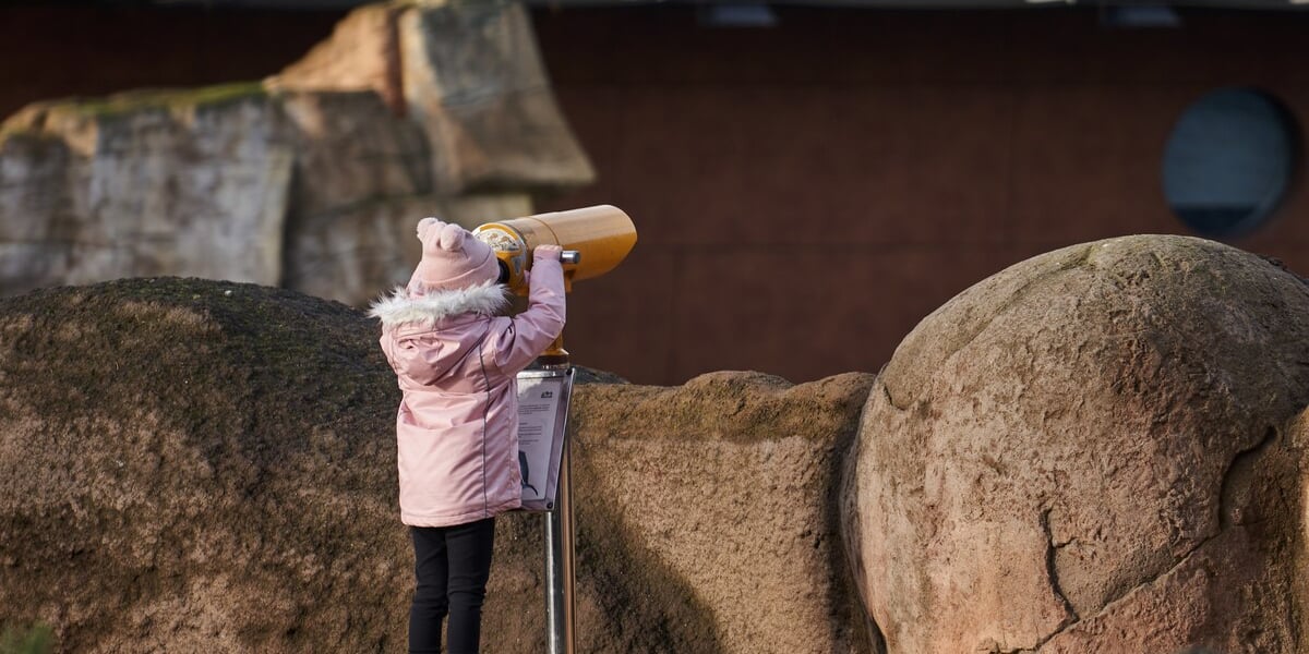ZOO Wrocław, weekend 6-8 stycznia 2023. Na zdjęciu dziewczynka patrząca przez lunetę.