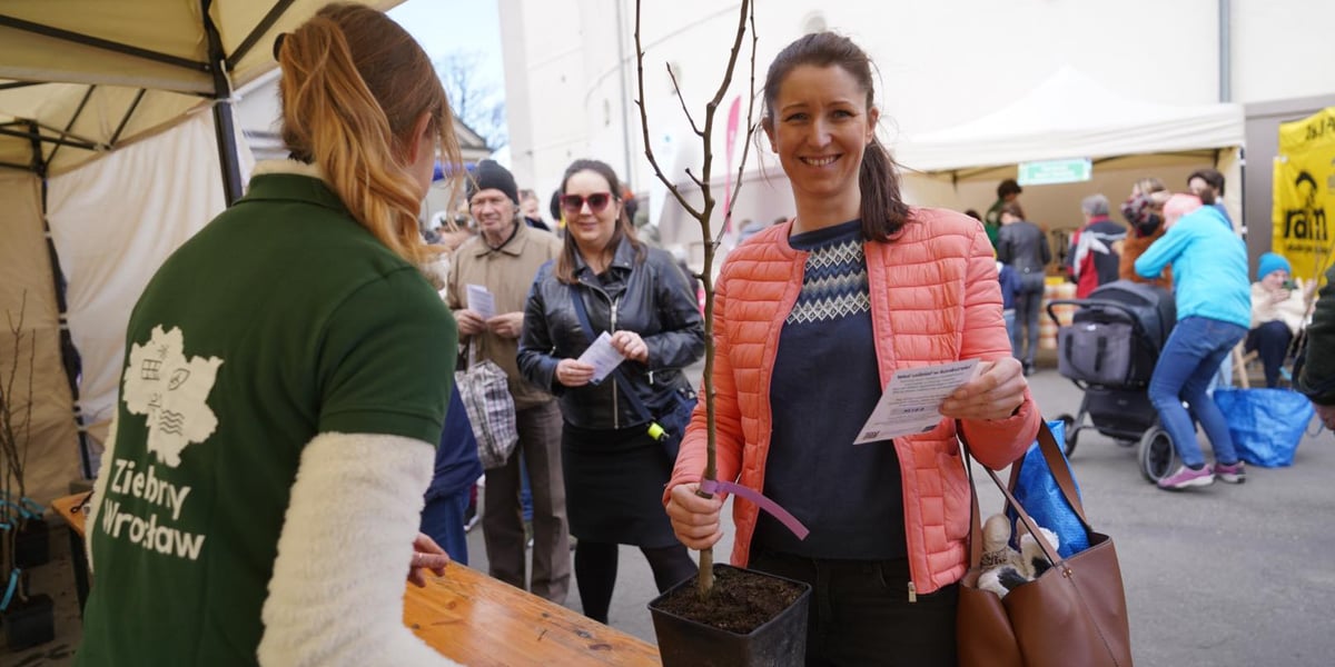 Zielony piknik na placu Strzegomskim. Jedną z atrakcji jest odbiór drzewek