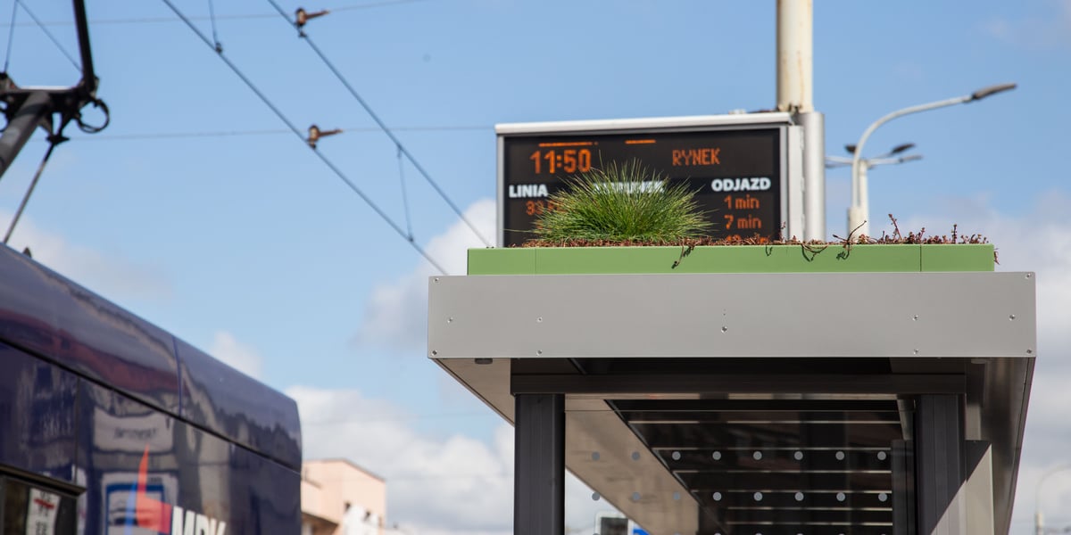 Pierwsza we Wrocławiu zielona wiata na przystanku