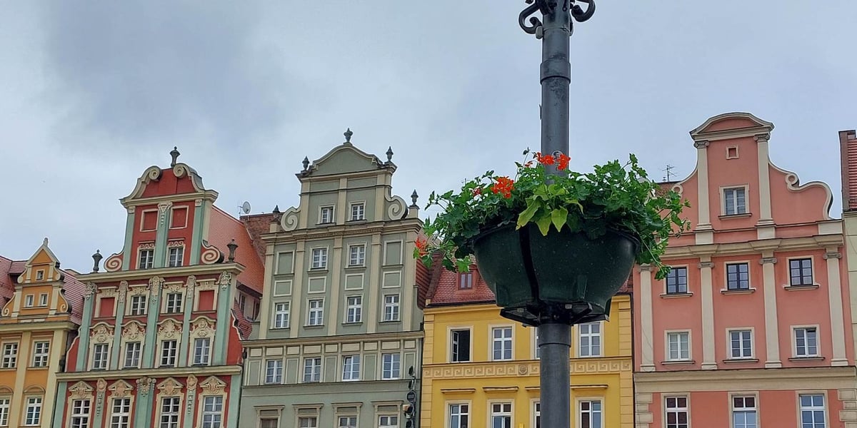 Zielona pelargonia wisząca na czarnej latarni, w tle kamienice wrocławskiego Rynku