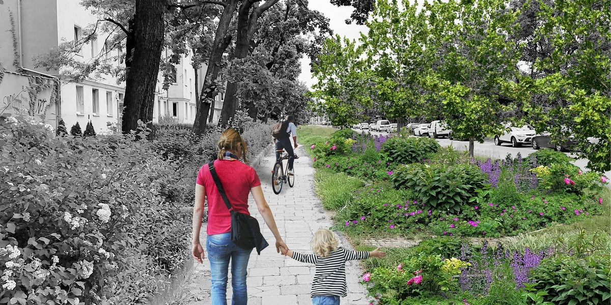 Wizualizacja zazielenionego placu Staszica na wrocławskim Nadodrzu