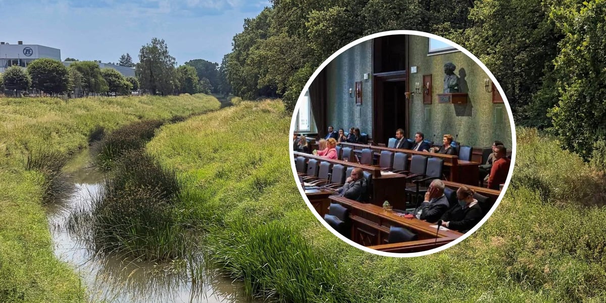 Lasek Oporowski jest pod ochroną.  W kółku radni na sesji