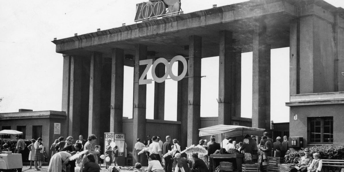 Jak zmieniało się wrocławskie zoo po wojnie? Zobaczcie unikatowe archiwalne zdjęcia i rysunki