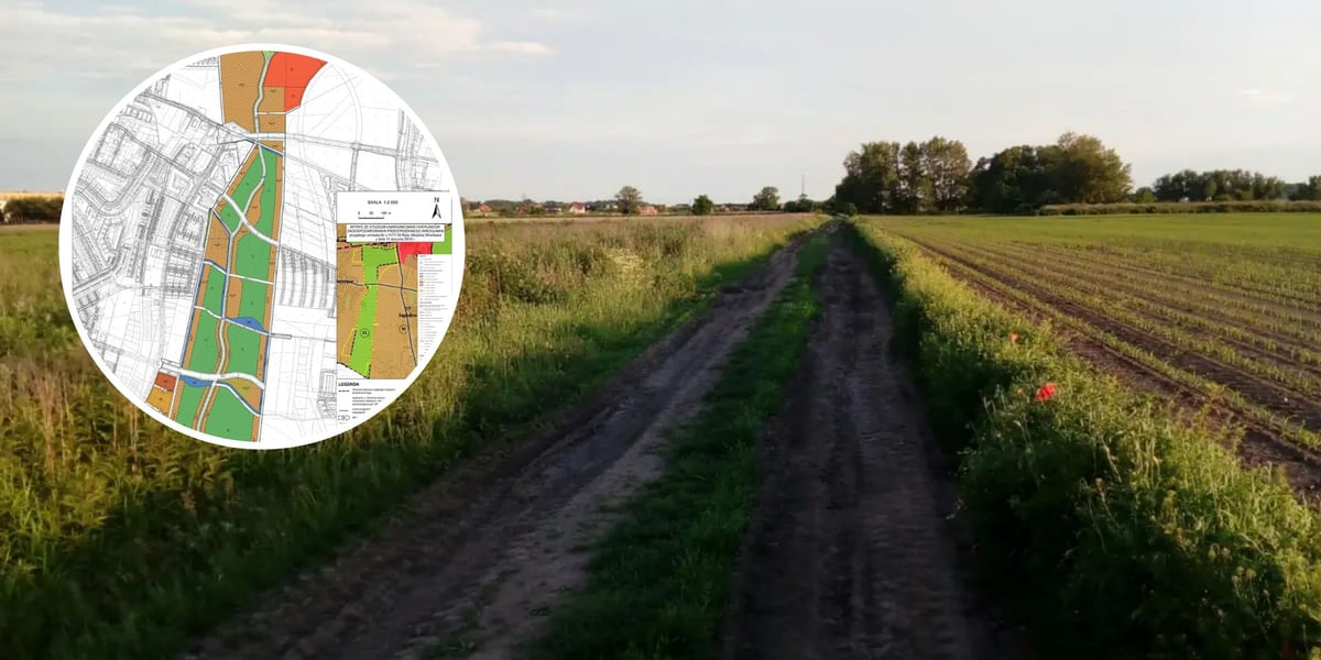 Na zdjęciu obszar, na którym planowany jest Zielony Klin Południa Wrocławia