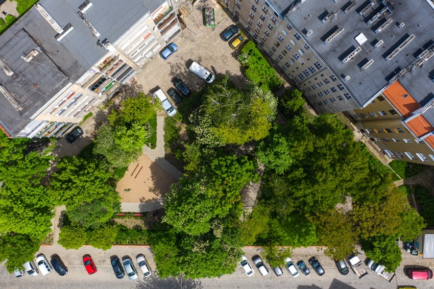 We Wrocławiu powstaje mapa koron drzew