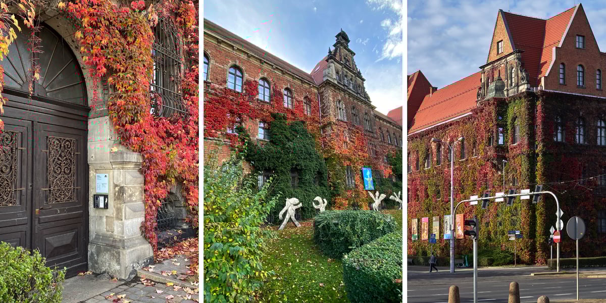 Pnącza na elewacji budynku Muzeum Narodowego we Wrocławiu