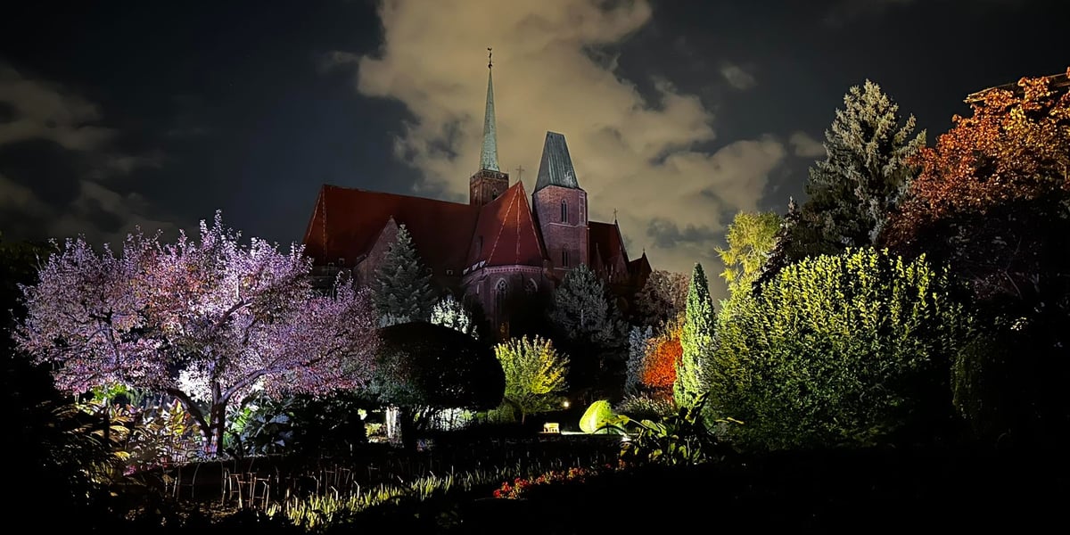 Nocne iluminacje w Ogrodzie Botanicznym