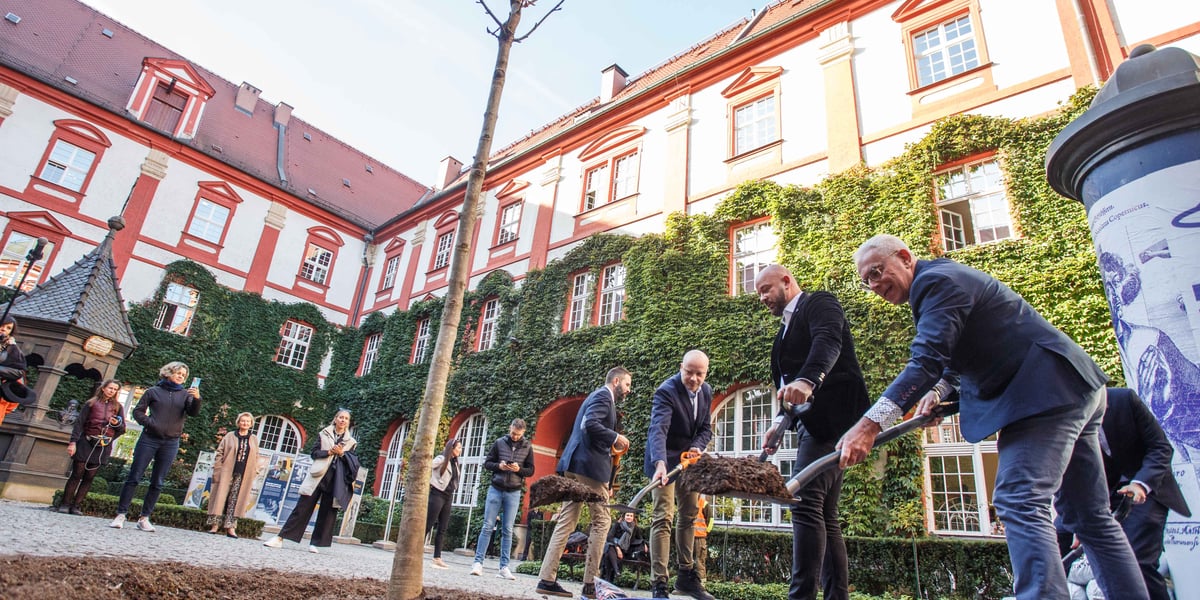 Uroczyste wkopanie młodego kasztanowca na dziedzińcu Ossolineum