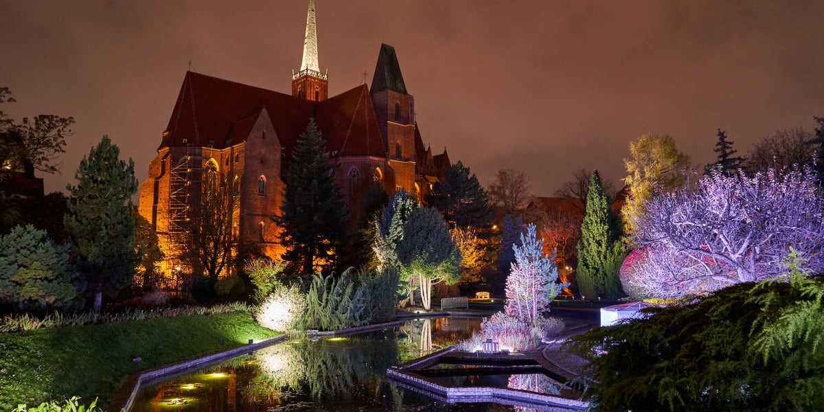 Nocne iluminacje w Ogrodzie Botanicznym