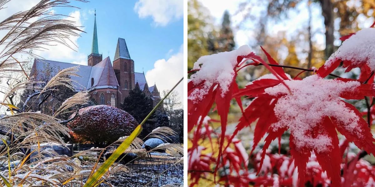 Ogród Botaniczny zimą