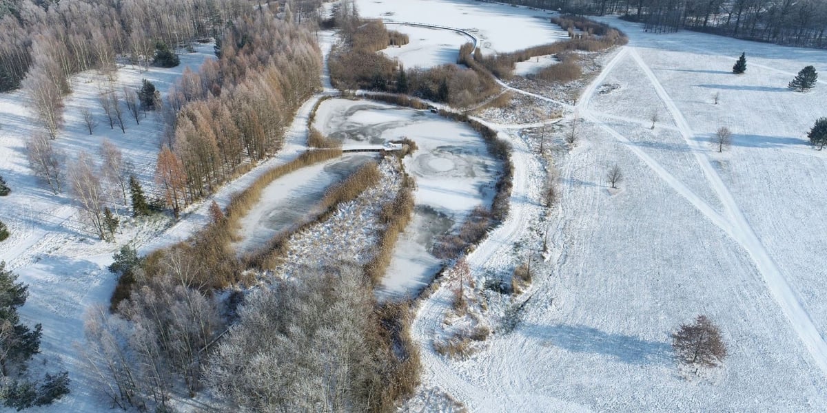 Arboretum Leśne im. prof. Stefana Białoboka, Nadleśnictwo Syców. Staw Podkowa i Staw Duży