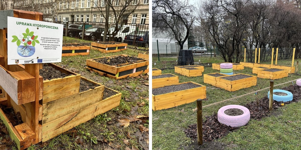 Ogródki warzywne we wrocławskich przedszkolach, które powstały w 2023 r. - projekt FOODSHIFT 2030