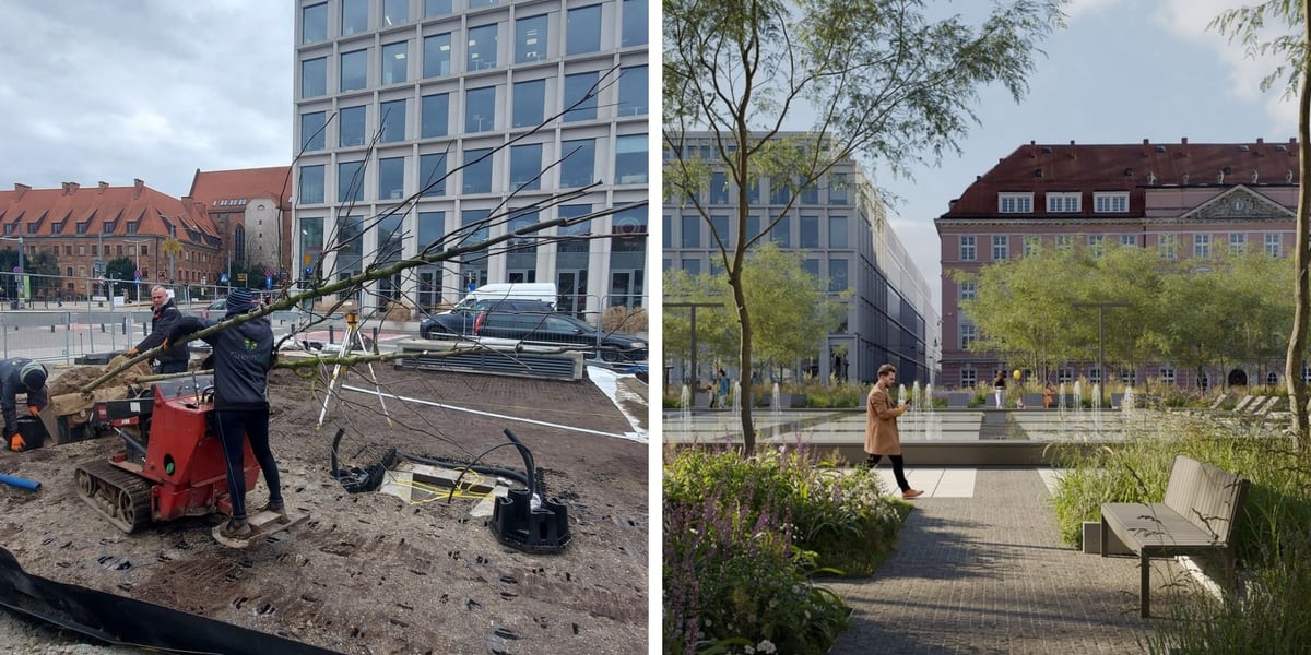 Na placu Nowy Targ we Wrocławiu trwa zielona rewolucja. Po lewej wykonawcy nasadzają pierwsze drzewa, po prawej wizualizacja placu w nowej odsłonie