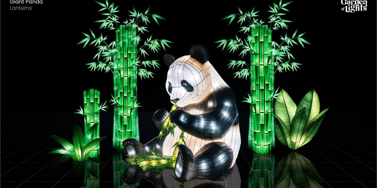 Panda wielka. Jeden z lampionów 3D Garden of Lights "Dzika Azja"