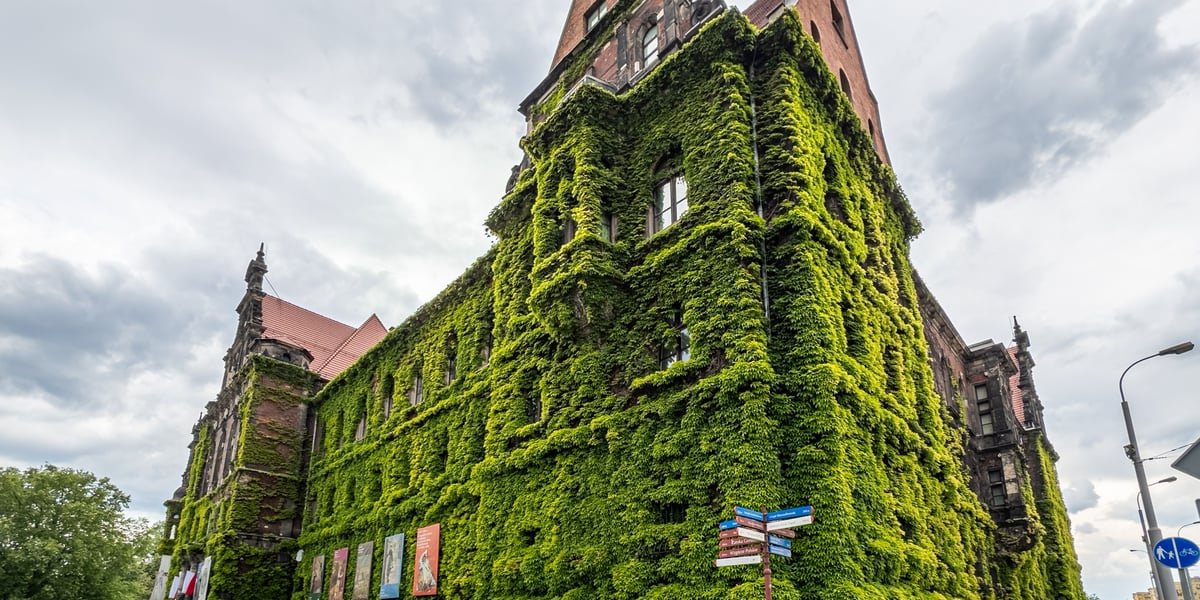 Muzeum Narodowe we Wrocławiu w wiosennej odsłonie. Adres: plac Powstańców Warszawy 5