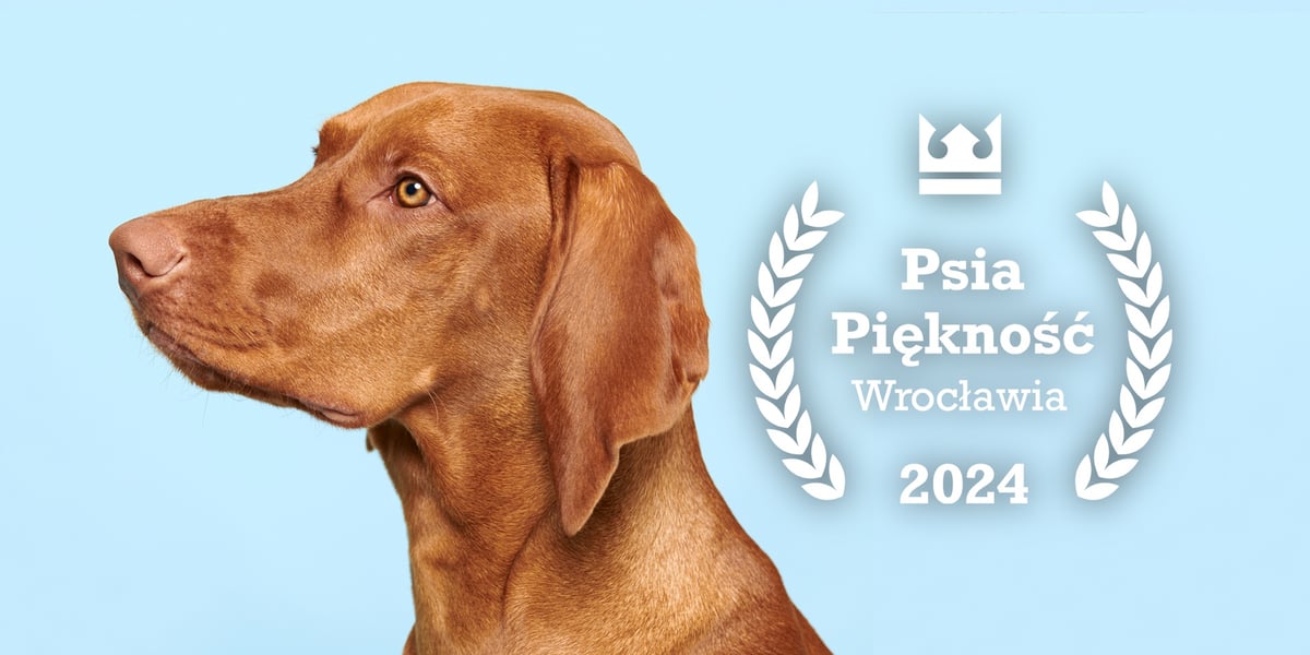 Pies, a obok logo konkursu Psia Piękność Wrocławia 2024