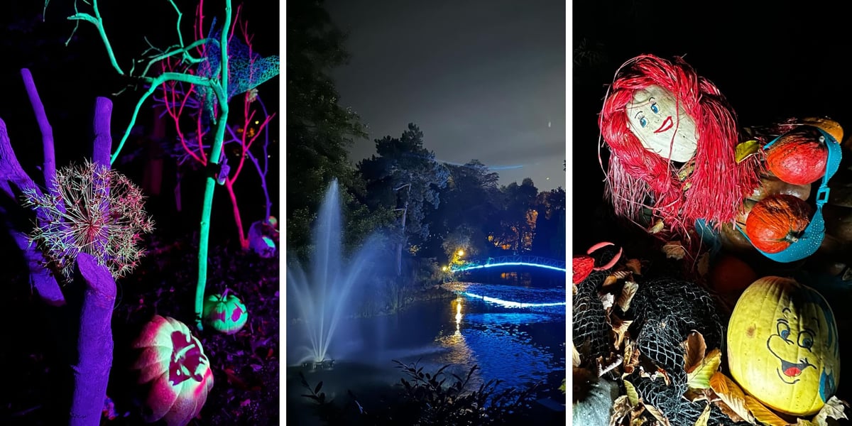 Wieczorne, dyniowe iluminacje w Ogrodzie Botanicznym, zestawienie trzech zdjęć.
