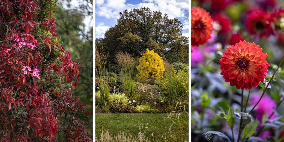 Arboretum Wojsławice jesienią