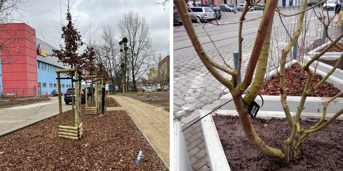 Po lewej: skwer przy ul. Szybowcowej, po prawej: plac Trójkątny na Przedmieściu Oławskim
