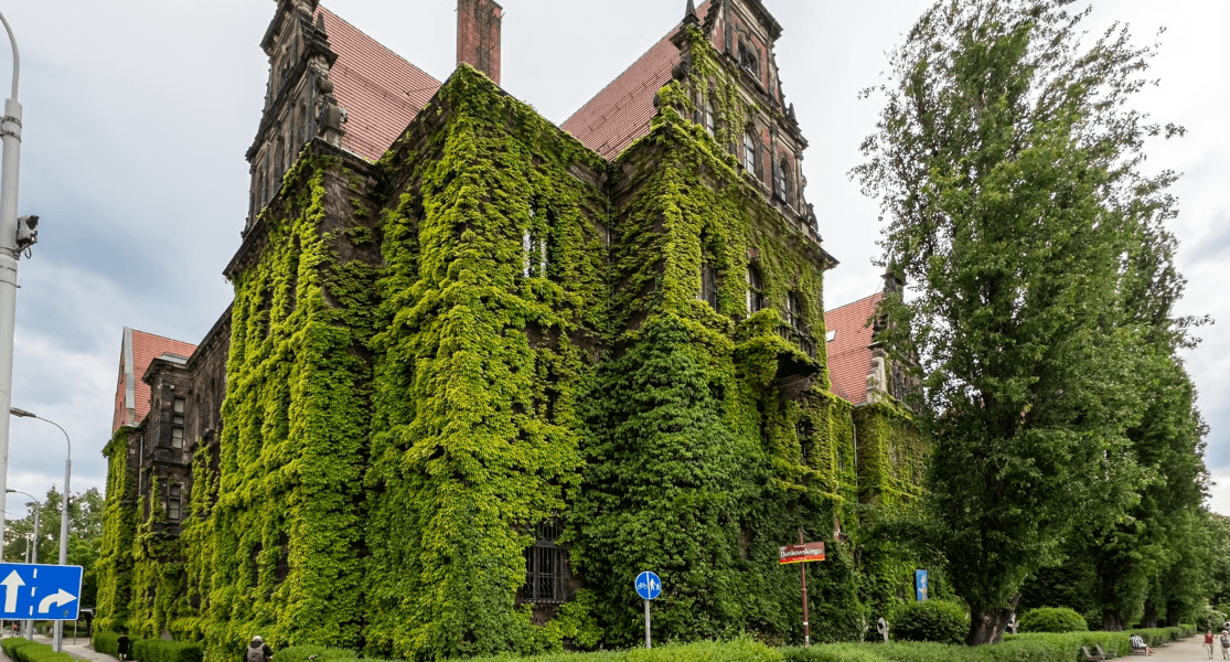 Zielona ściana na Muzeum Narodowym we Wrocławiu