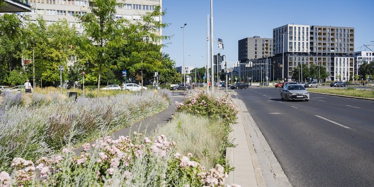 Zielono-niebieska infrastruktura - Legnicka/Poznańska (skrzyżowanie)